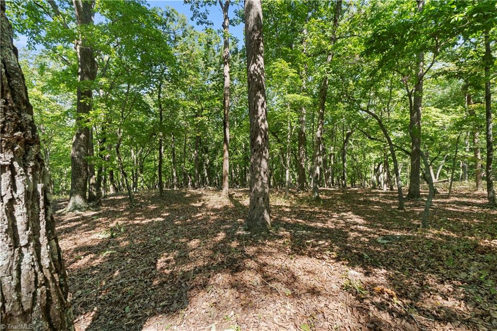 686 Palisade Trail Property Photo 5