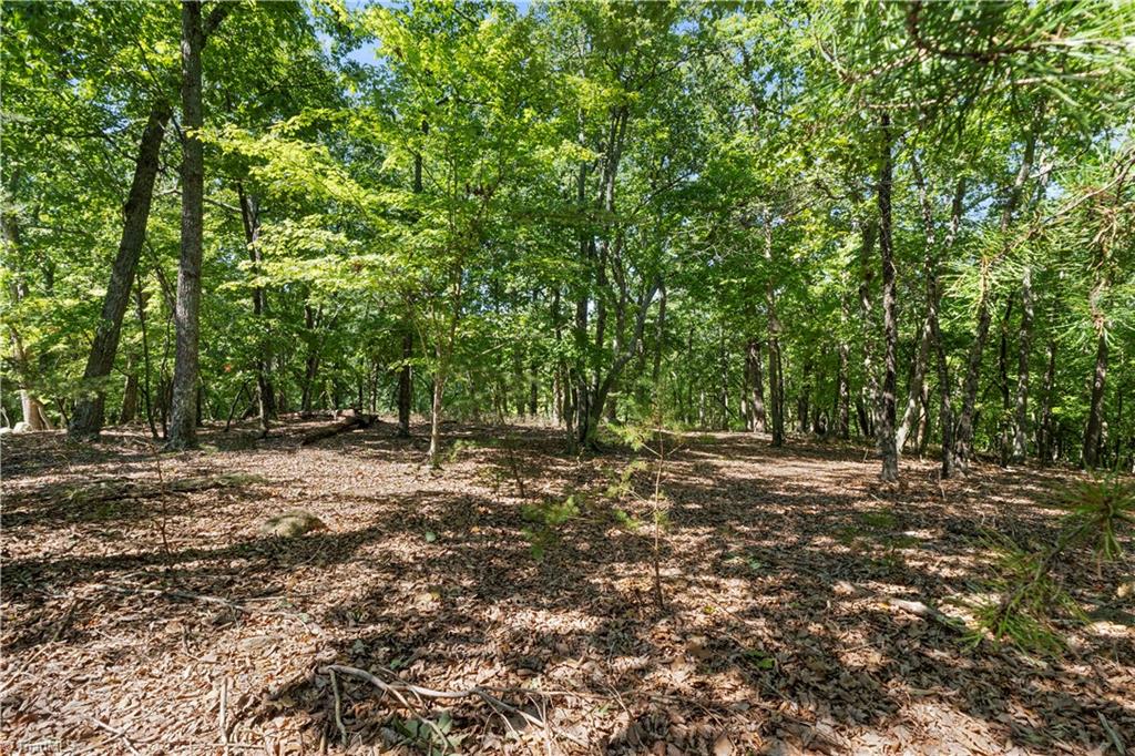 686 Palisade Trail Property Photo 6