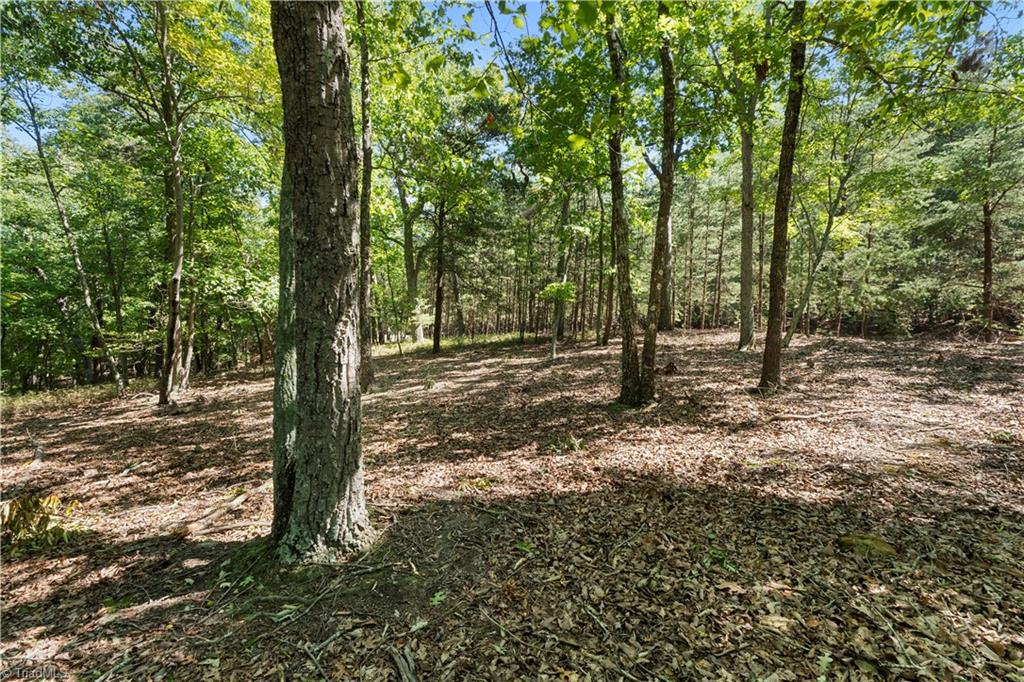 686 Palisade Trail Property Photo 7