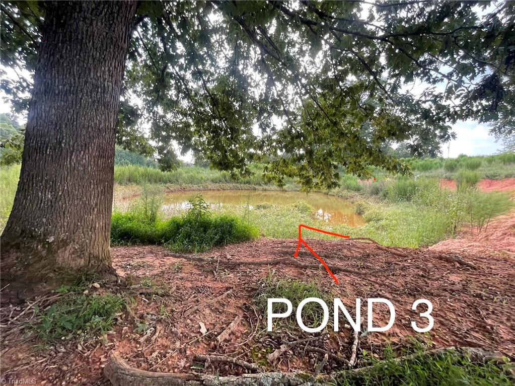 325 Ellas Lane Property Photo 8