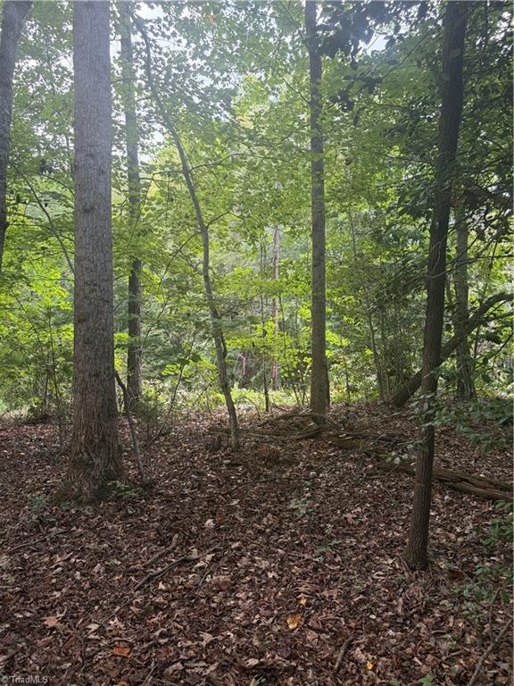 Lot 5 Edgewood Road Property Photo 2