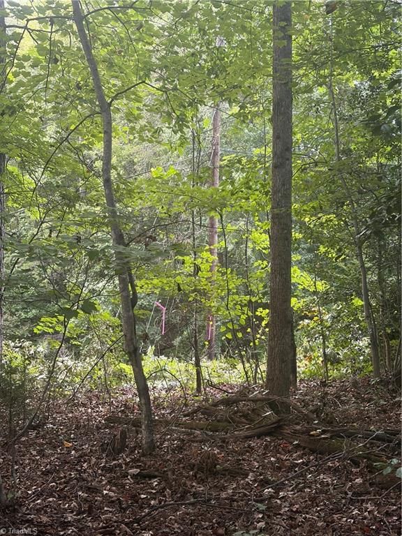 Lot 5 Edgewood Road Property Photo 3