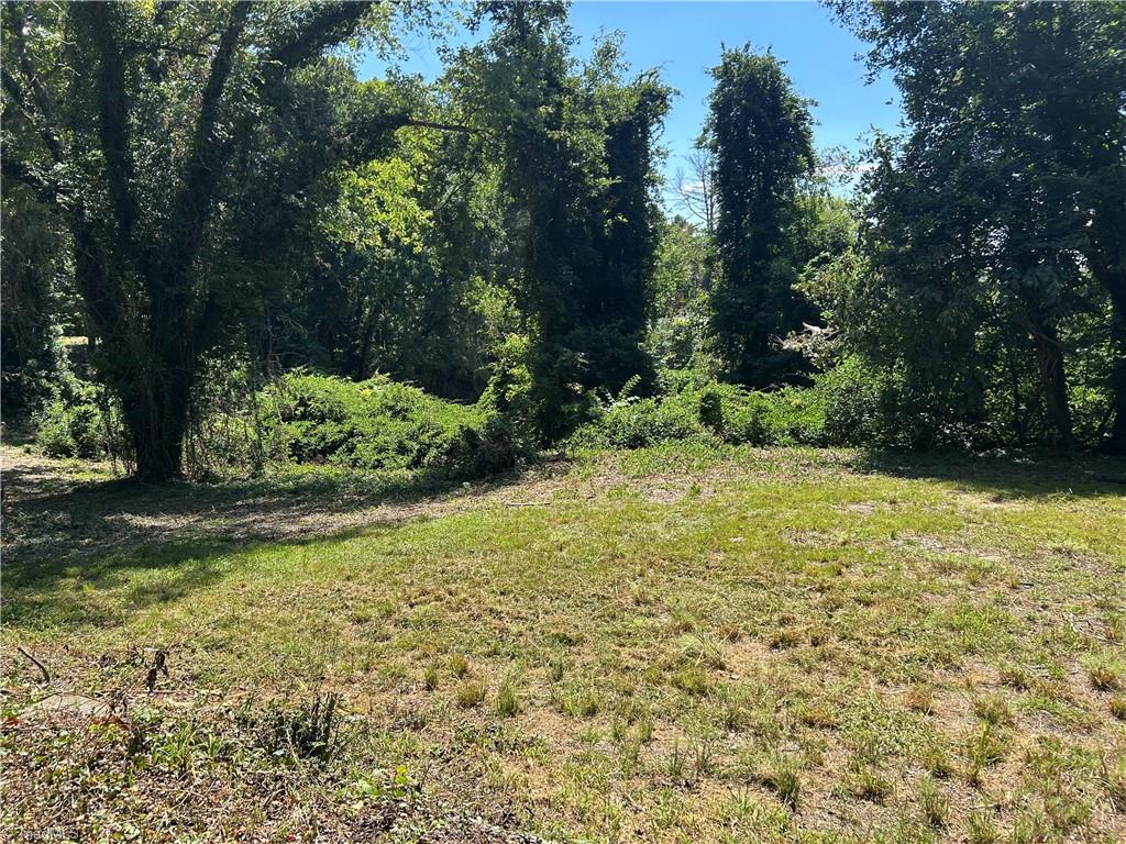 Tbd Linville Road Property Photo 2