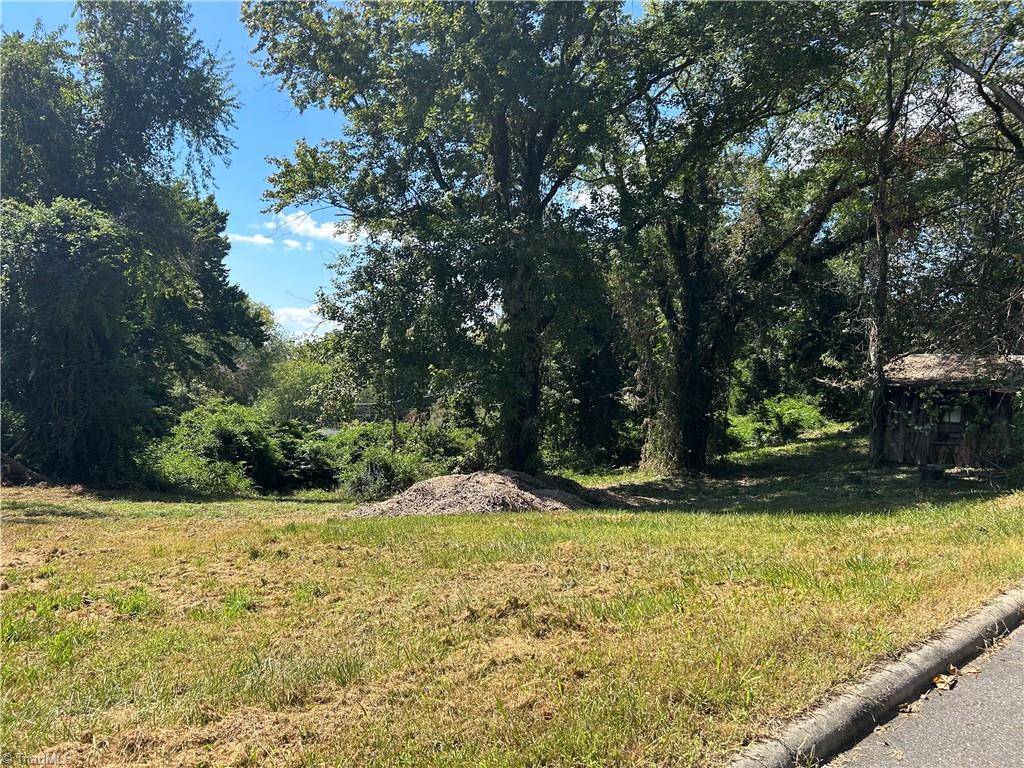 Tbd Linville Road Property Photo 3