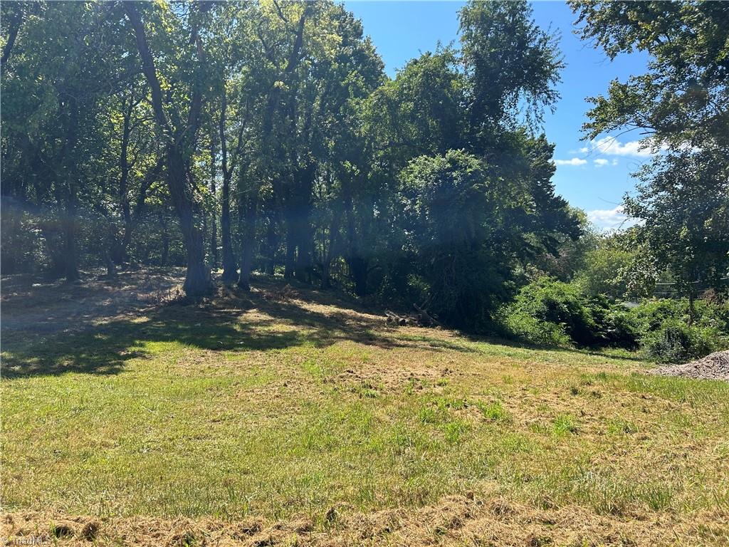 Tbd Linville Road Property Photo 4