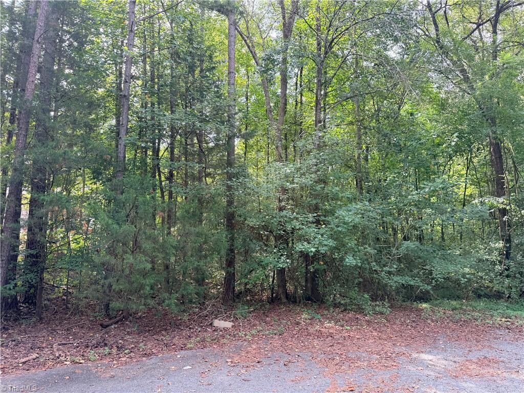 0 Carmi Lane Property Photo 2