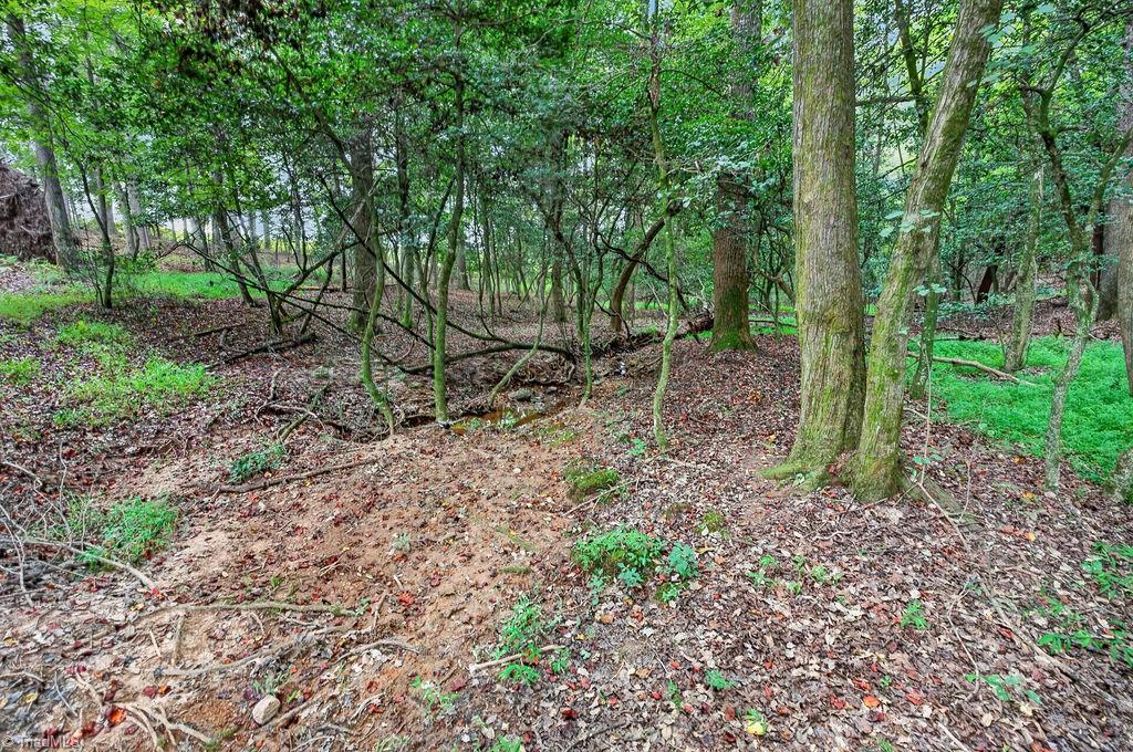 3818 Mining Ridge Church Road Property Photo 44
