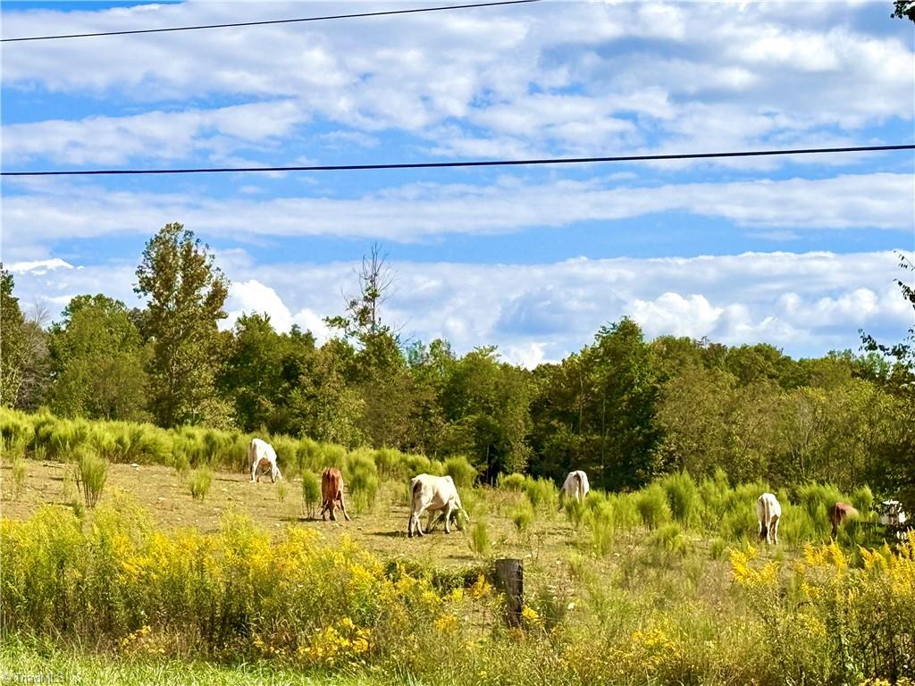 6254 Nc Highway 268 Property Photo 5