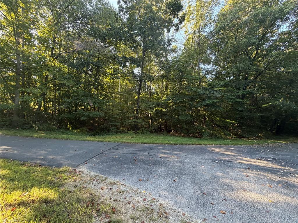 Lot 29 Cabin Cove Lane Property Photo 2