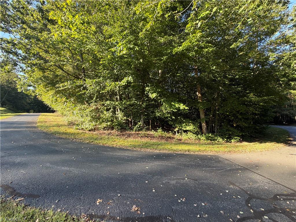 Lot 29 Cabin Cove Lane Property Photo 3