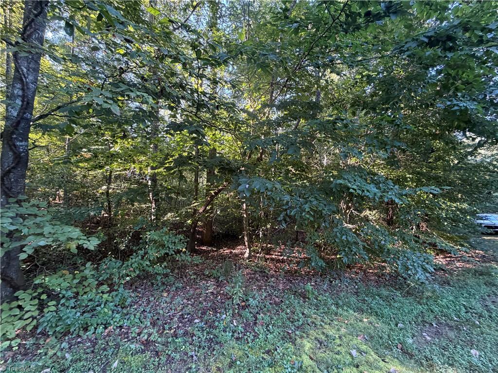 Lot 29 Cabin Cove Lane Property Photo 4