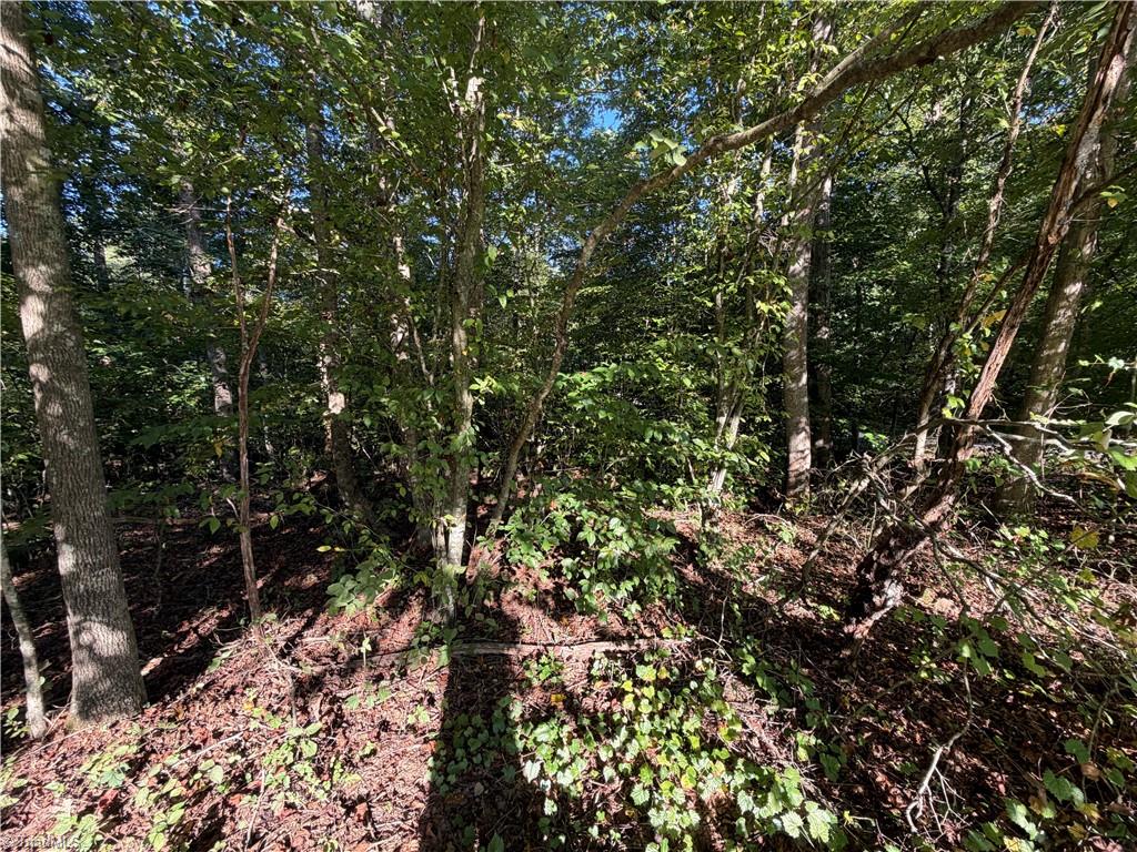 Lot 29 Cabin Cove Lane Property Photo 5