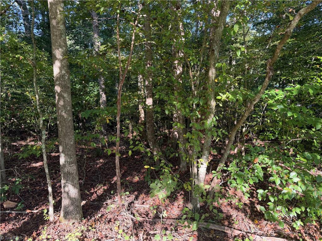 Lot 29 Cabin Cove Lane Property Photo 6