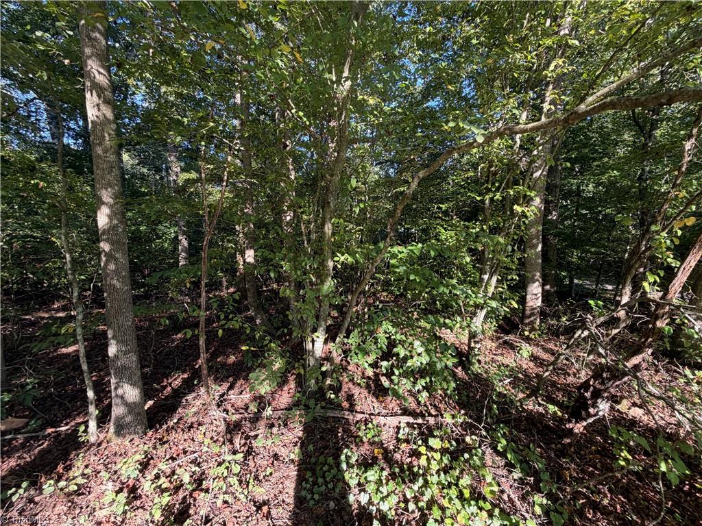 Lot 29 Cabin Cove Lane Property Photo 7
