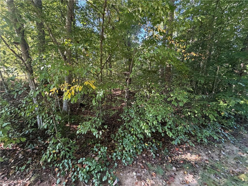 Lot 29 Cabin Cove Lane Property Photo 8