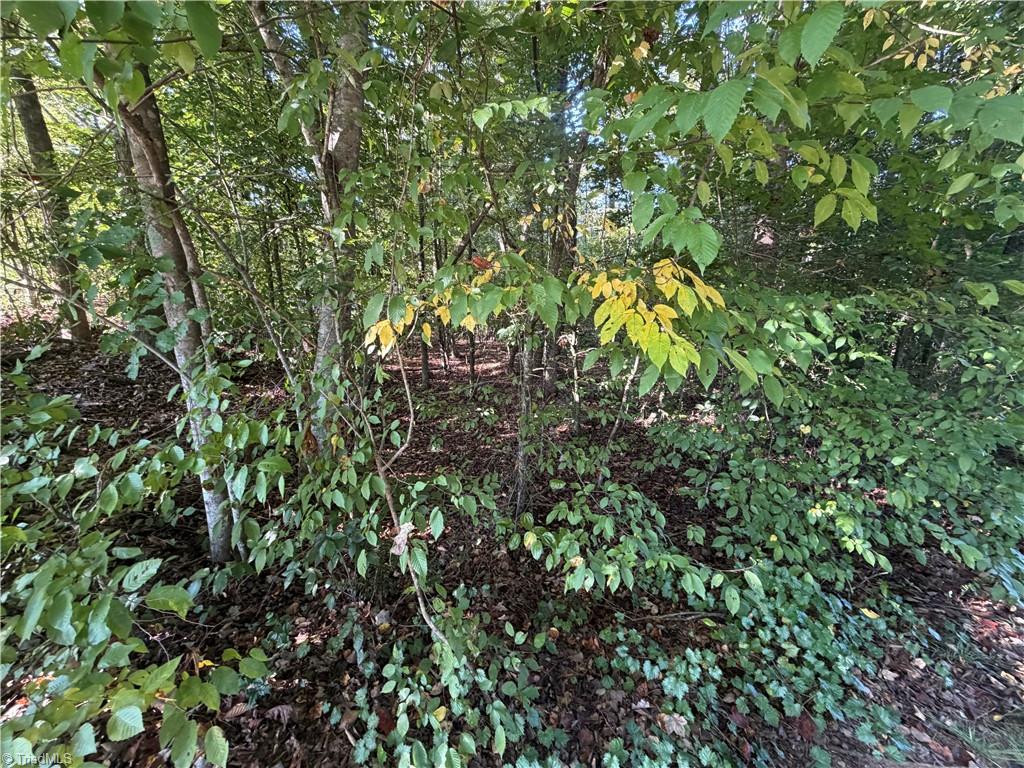 Lot 29 Cabin Cove Lane Property Photo 9