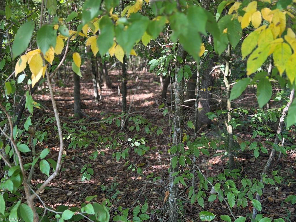 Lot 29 Cabin Cove Lane Property Photo 10