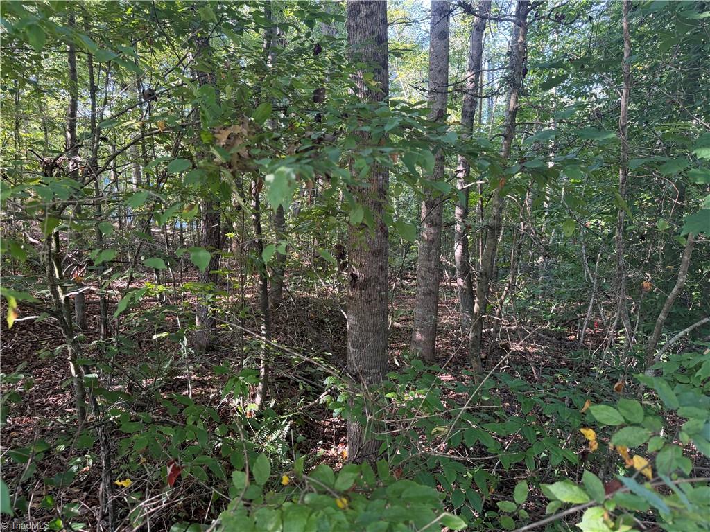 Lot 29 Cabin Cove Lane Property Photo 11