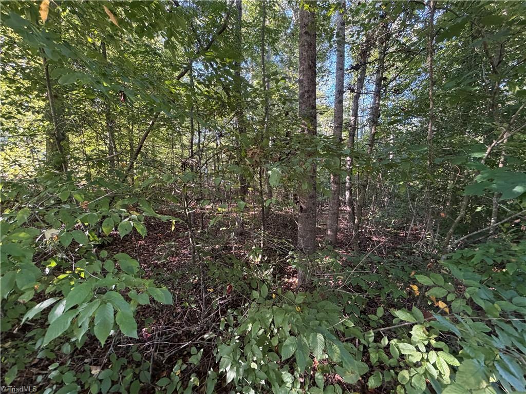 Lot 29 Cabin Cove Lane Property Photo 12