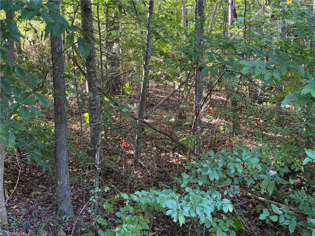 Lot 29 Cabin Cove Lane Property Photo 13