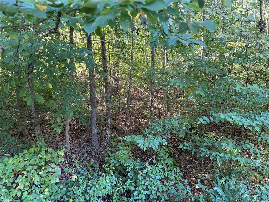Lot 29 Cabin Cove Lane Property Photo 14