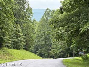 Lot 29 Cabin Cove Lane Property Photo 16