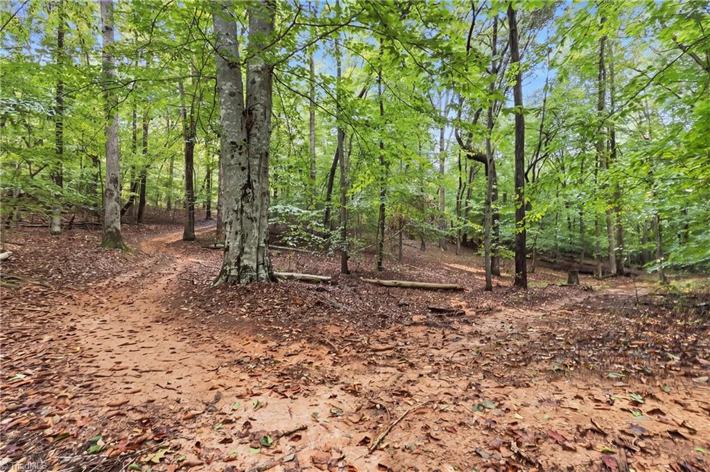 2233 Vienna Dozier Road Property Photo 48