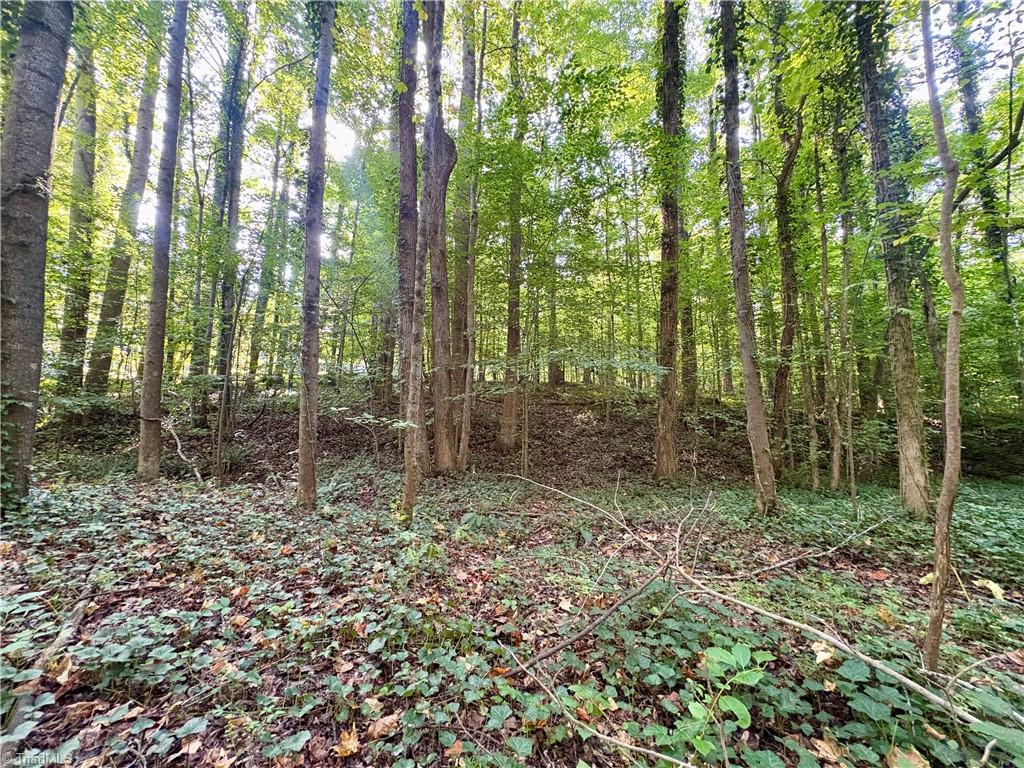 8101 Deverow Court Property Photo 1