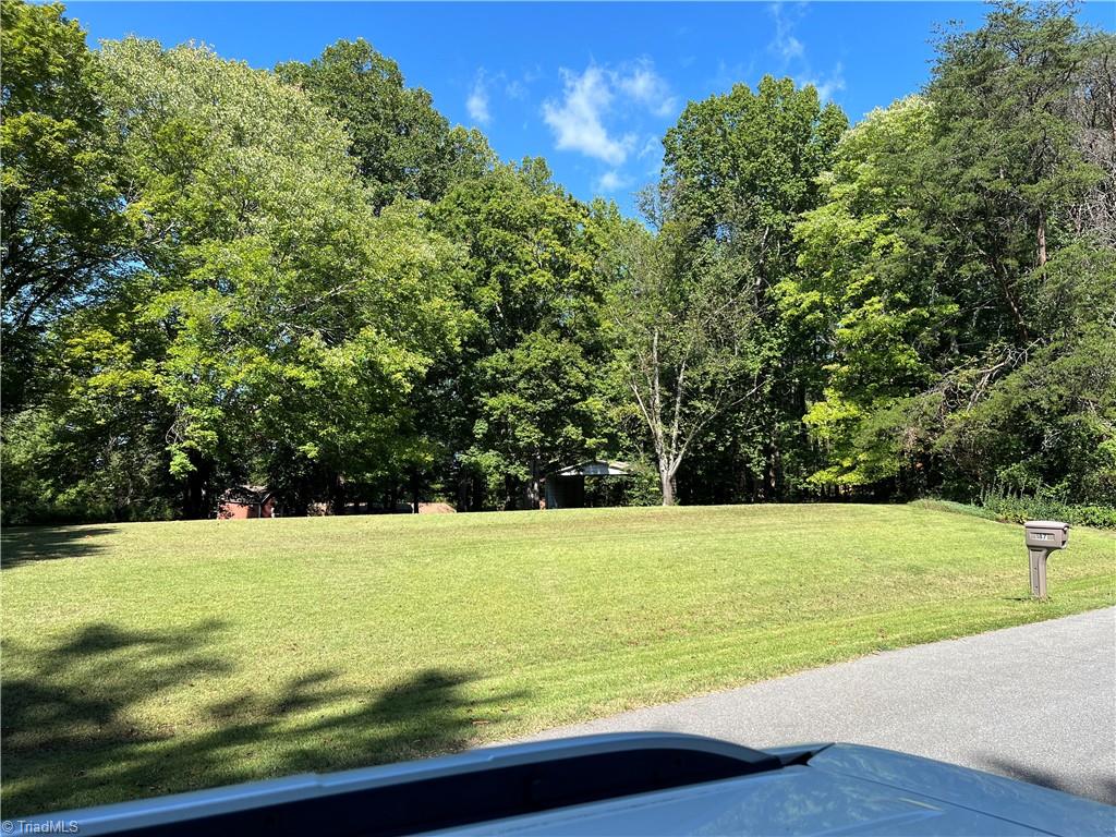 0 Dogwood Lane Property Photo 1