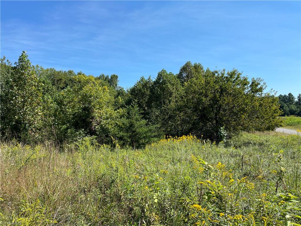 539 Athey Simmons Road Property Photo 25
