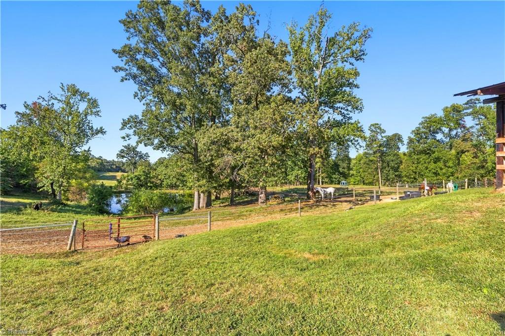 638 Pineville Road Property Photo 24