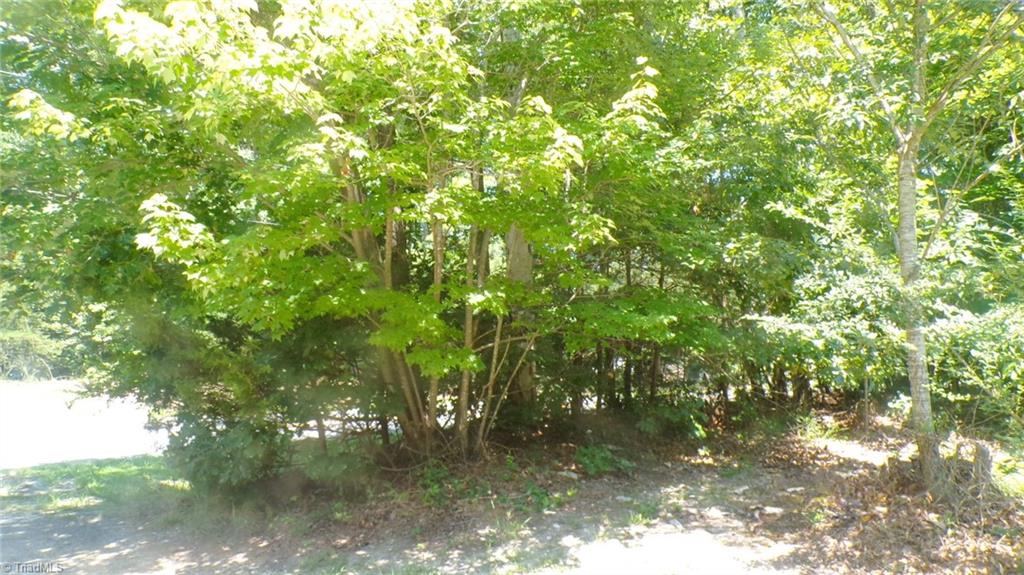 2581 Carl Allred Road Property Photo 1