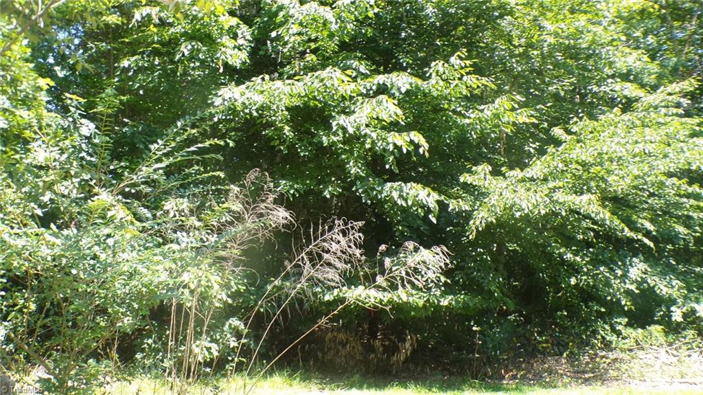 2581 Carl Allred Road Property Photo 2
