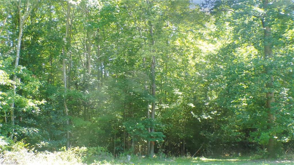 2581 Carl Allred Road Property Photo 3
