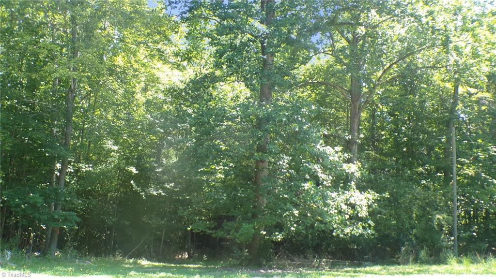2581 Carl Allred Road Property Photo 4