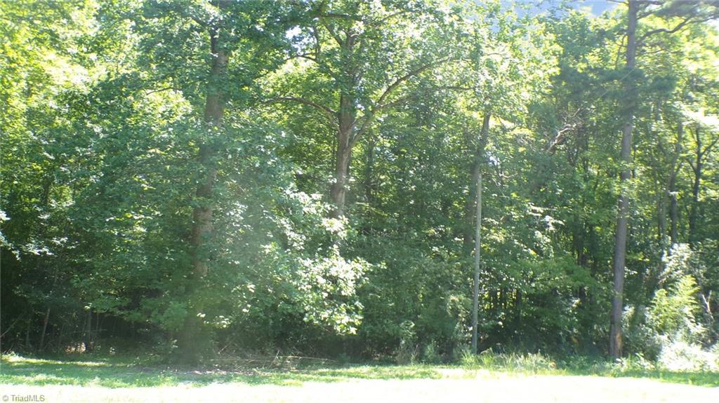 2581 Carl Allred Road Property Photo 5