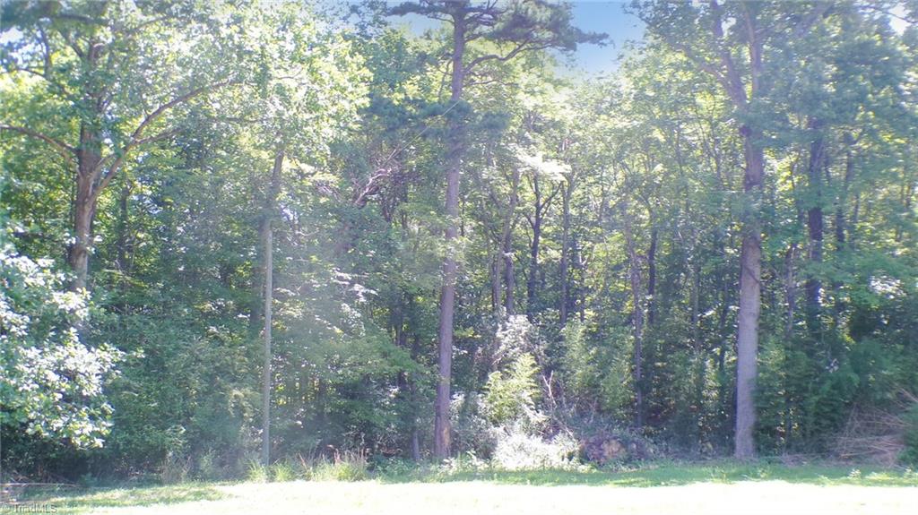 2581 Carl Allred Road Property Photo 6
