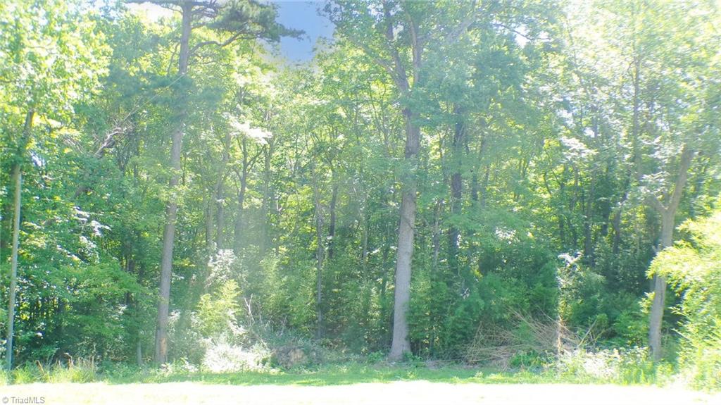 2581 Carl Allred Road Property Photo 7