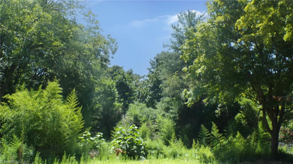 2581 Carl Allred Road Property Photo 8