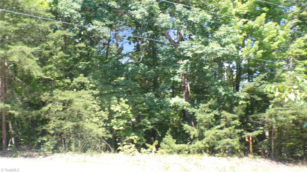2581 Carl Allred Road Property Photo 11