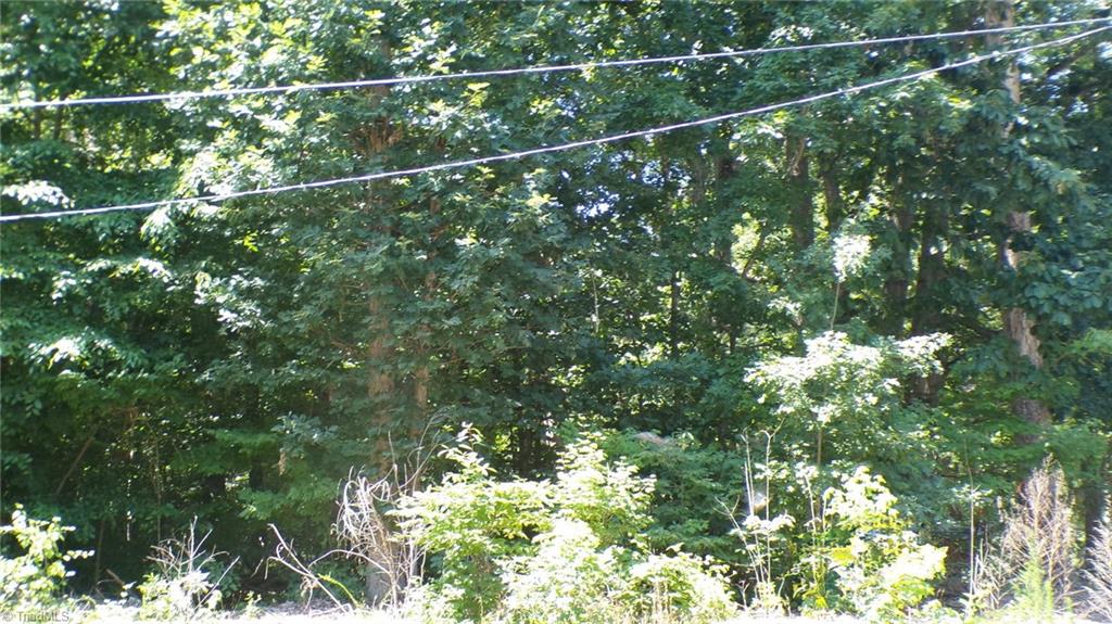 2581 Carl Allred Road Property Photo 12