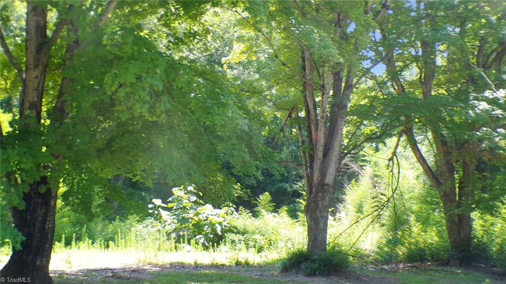 2581 Carl Allred Road Property Photo 15