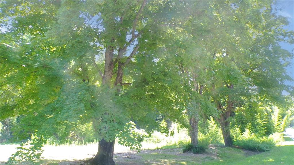 2581 Carl Allred Road Property Photo 19