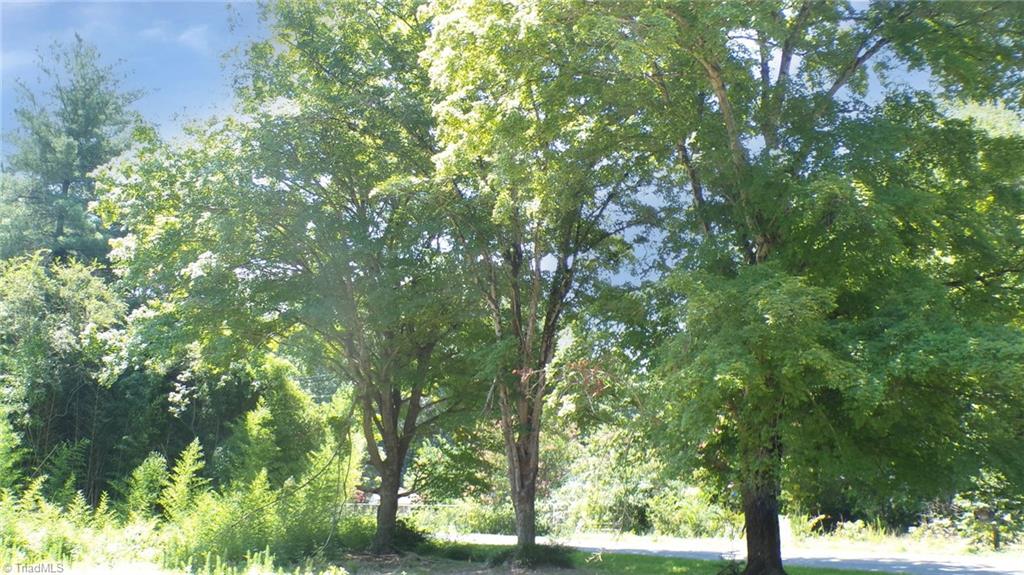 2581 Carl Allred Road Property Photo 27
