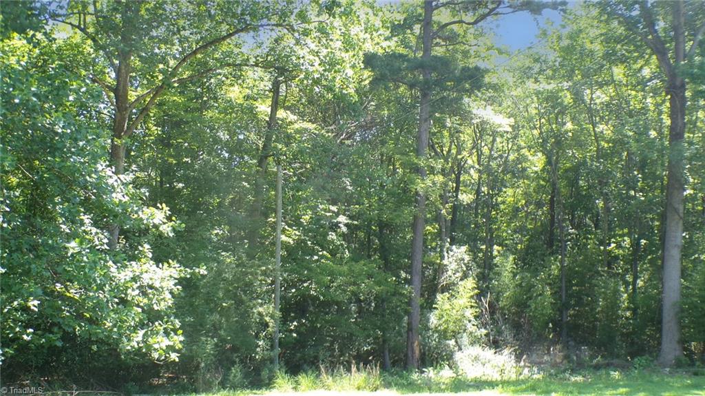 2581 Carl Allred Road Property Photo 30