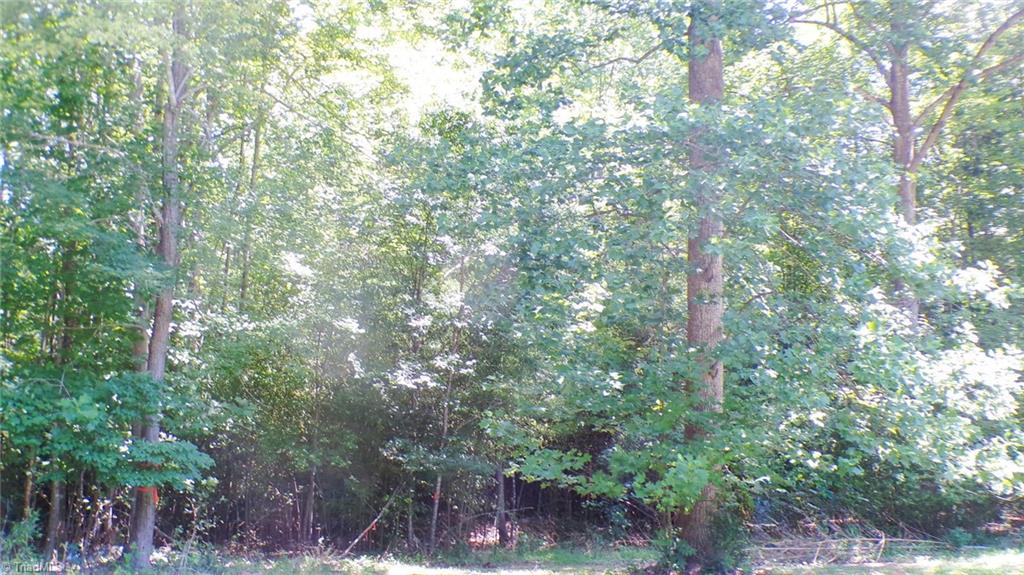2581 Carl Allred Road Property Photo 31