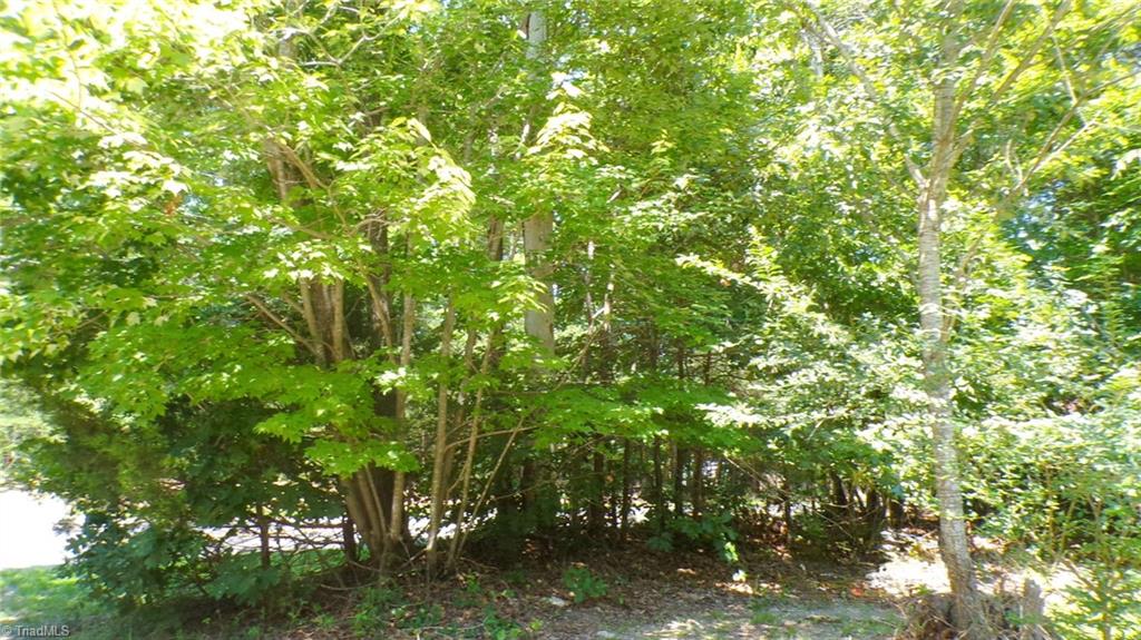 2581 Carl Allred Road Property Photo 32