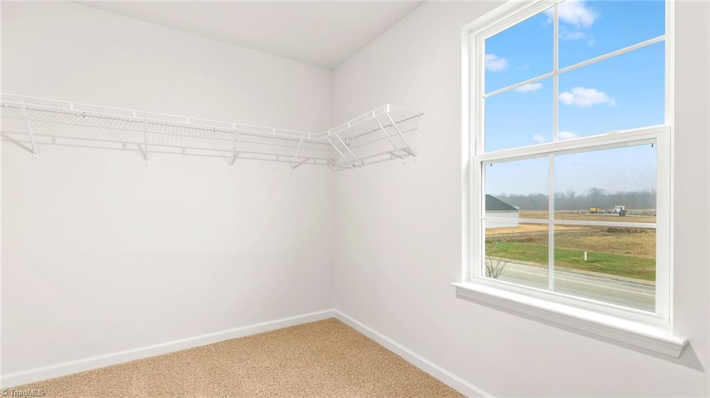 408 The Brus Street Property Photo 18