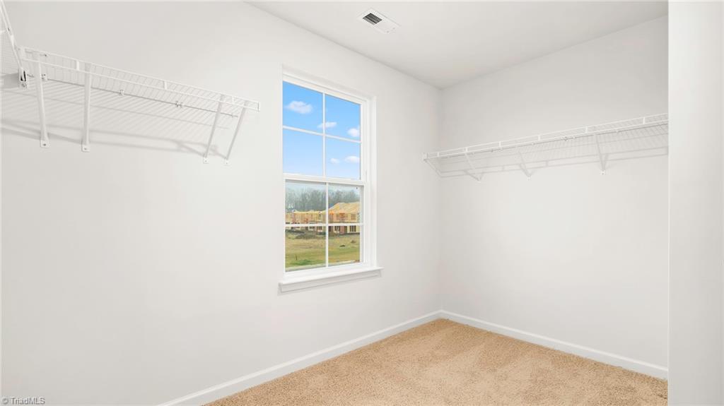 408 The Brus Street Property Photo 19