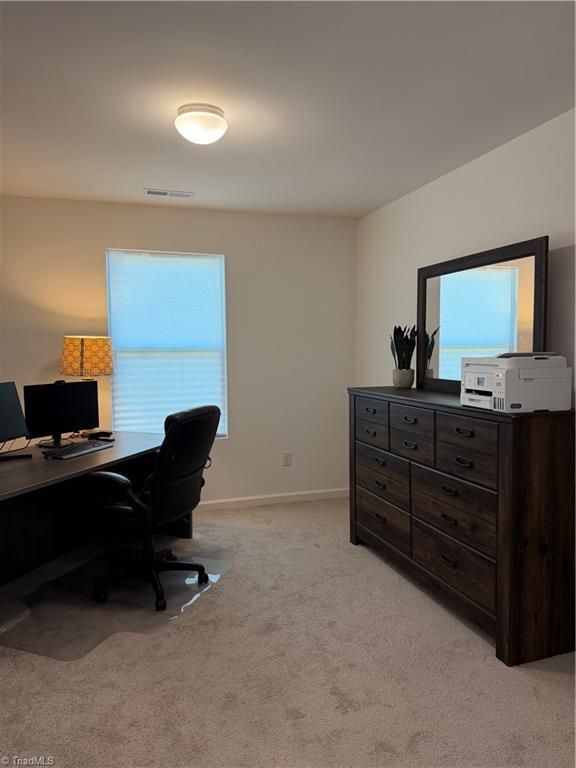 2909 Dexterity Court Property Photo 12